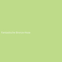 Fantastische Bronze-Hose